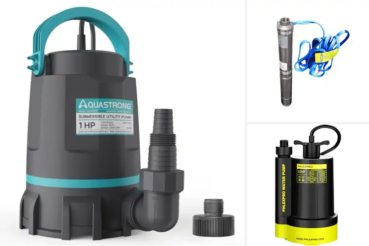 Detailed view of Best 110V Submersible Pumps