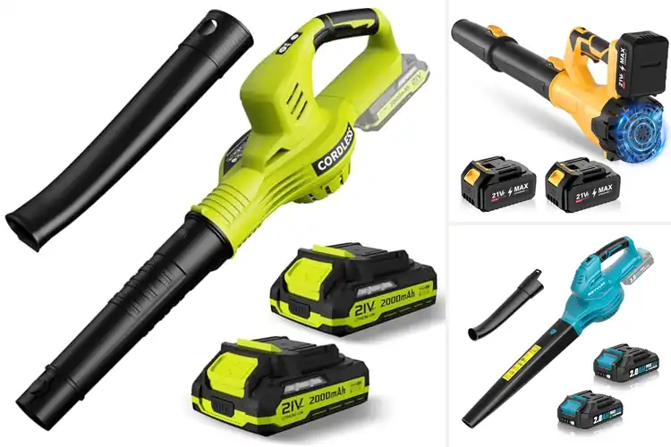 Detailed view of Best 2 Battery Blowers for Fast, Powerful Yard Cleanup