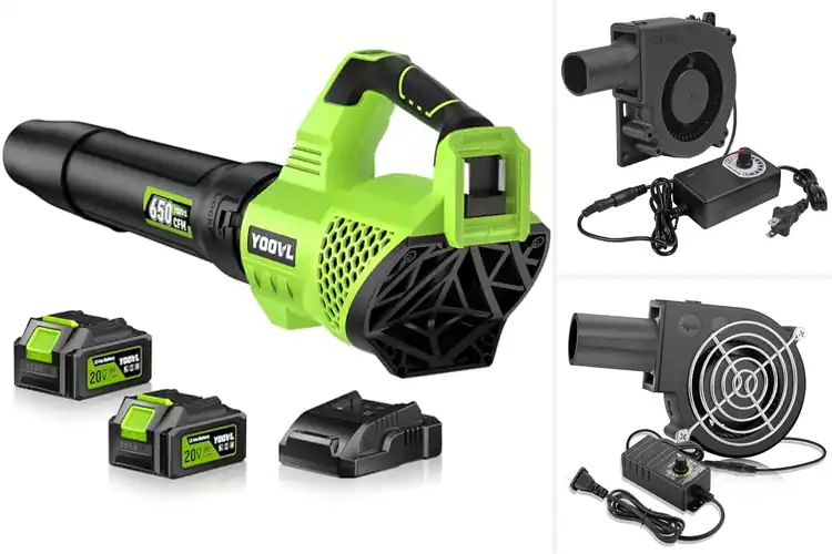 Detailed view of Best Adjustable Speed Blowers