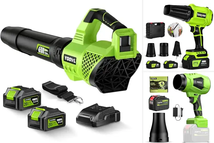 Detailed view of Best Adjustable Wind Power Blower