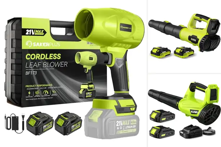 Detailed view of Best All-Purpose Outdoor Cleaning Blowers
