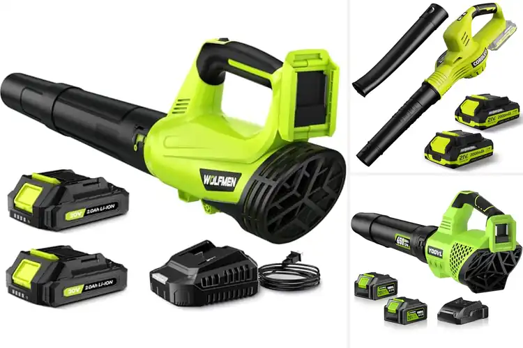 Detailed view of Best Battery Powered Leaf Blowers