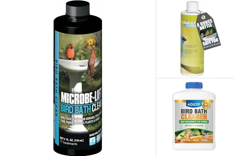 Detailed view of Best Bird Bath Cleaner