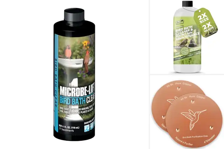Detailed view of Best Bird Bath Cleaners: Keep Your Bath Clean & Birds Happy