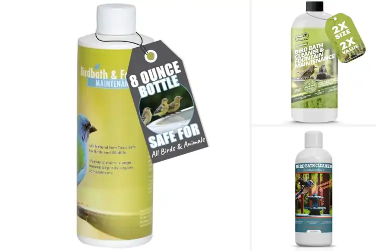 Detailed view of best bird bath maintenance supplies