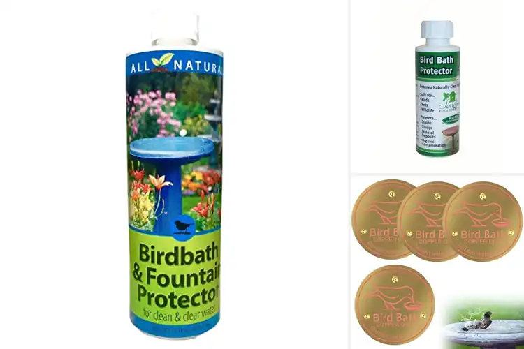 Detailed view of Best Bird Bath Surface Protectors