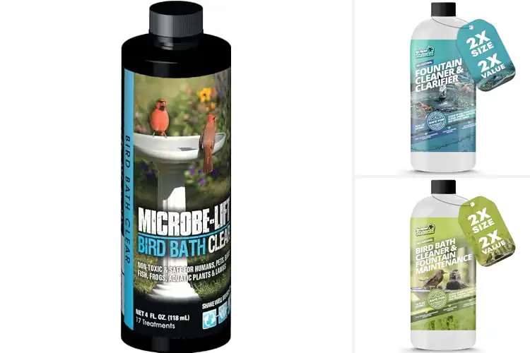 Detailed view of Best Bird Bath Water Cleaners: Fresh Water, No Scrubbing