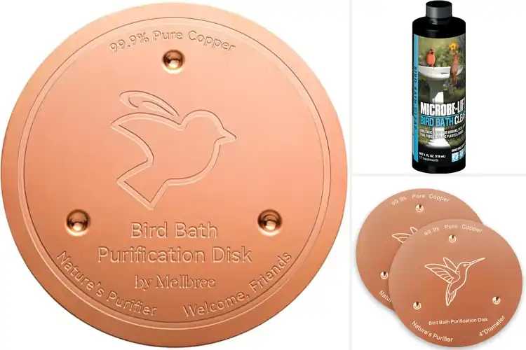 Detailed view of Best Birdbath Cleaner: Top 10 Picks for Happy, Healthy Birds