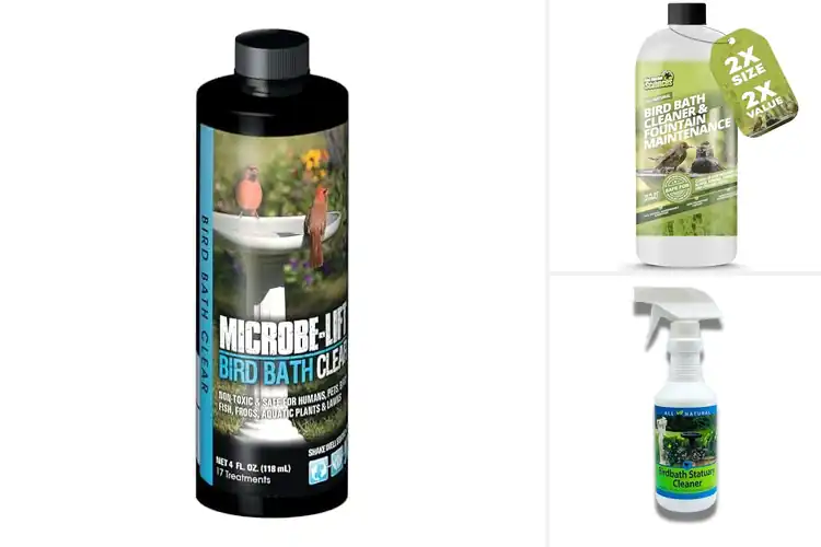 Detailed view of Best Birdbath Cleaners
