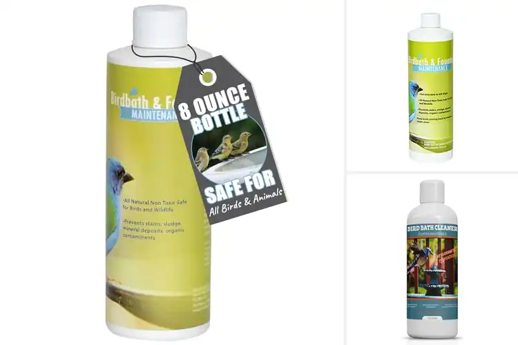 Detailed view of Best Birdbath Maintenance Products