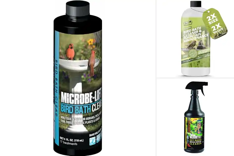 Detailed view of Best Birdbath Surface Cleaners
