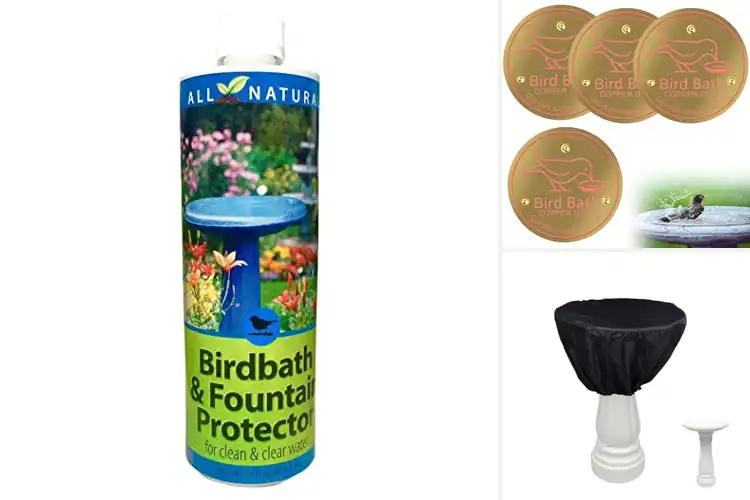 Detailed view of Best Birdbath Surface Protectors