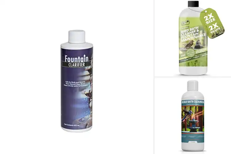 Detailed view of Best Birdbath Water Clarifiers