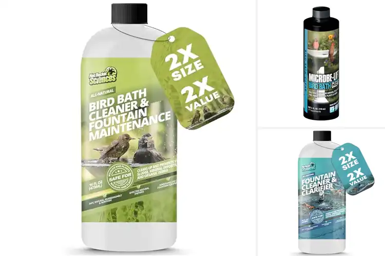 Detailed view of Best Birdbath Water Cleaners