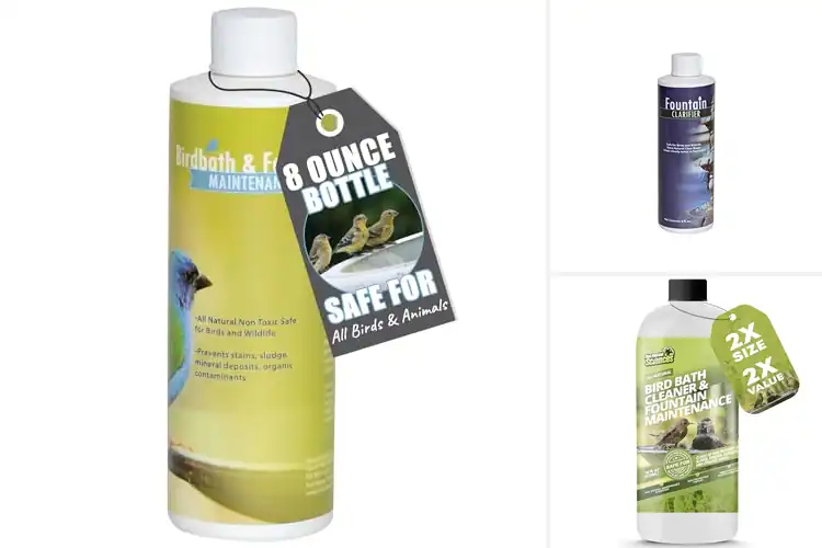 Detailed view of Best Birdbath Water Treatments