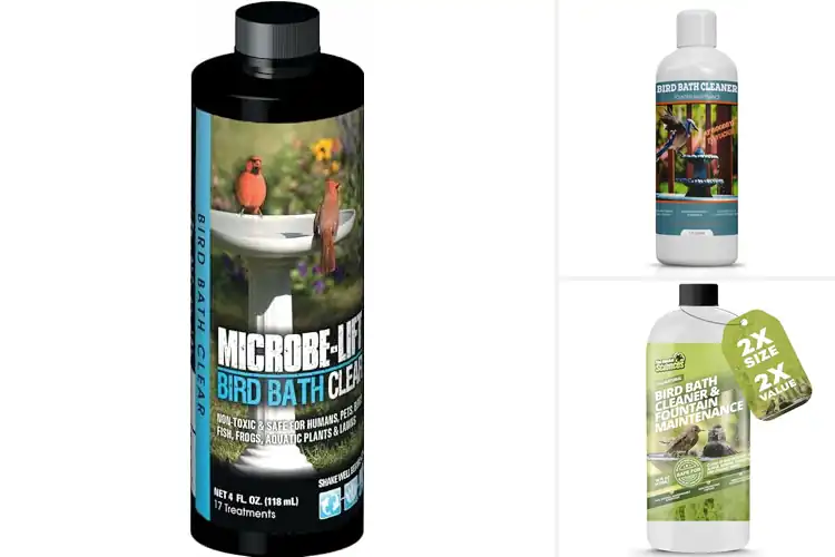 Detailed view of Best Clear Water Bird Bath Solution