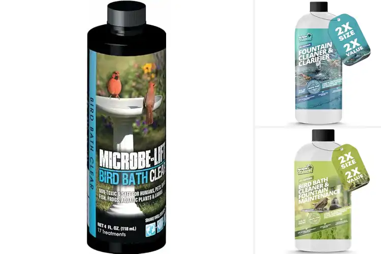 Detailed view of Best Concentrated Bird Bath Cleaners