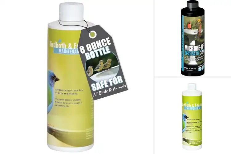 Detailed view of Best Concentrated Bird Bath Formula