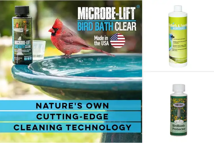 Detailed view of Best Concentrated Birdbath Formulas