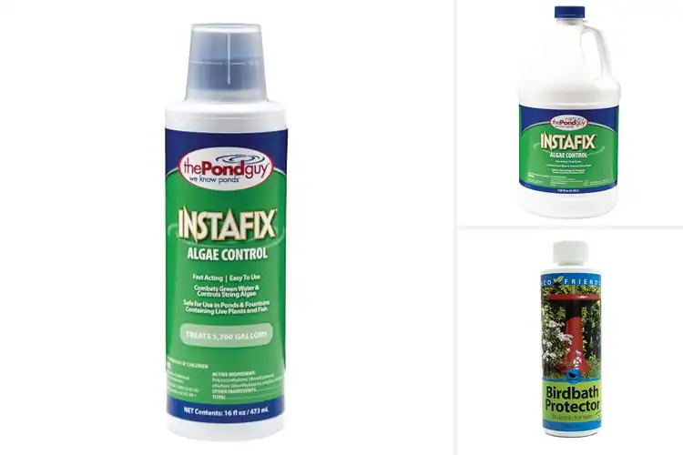 Detailed view of Best Concentrated Birdbath Solutions