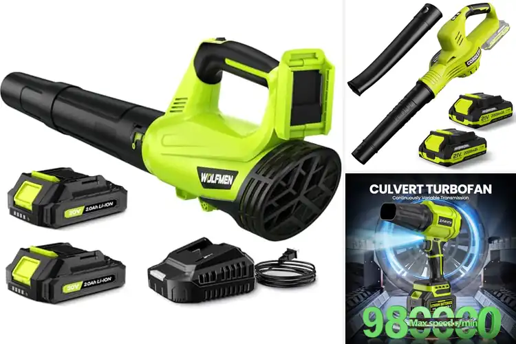 Detailed view of Best Cordless Garden Blowers