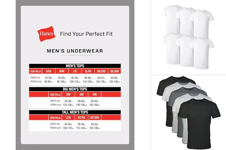 Detailed view of Best Cotton Shirts
