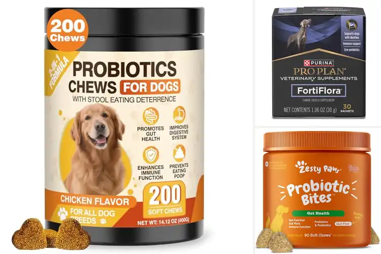 Detailed view of Best Dog Probiotics: Top 10 for a Healthier, Happier Pet