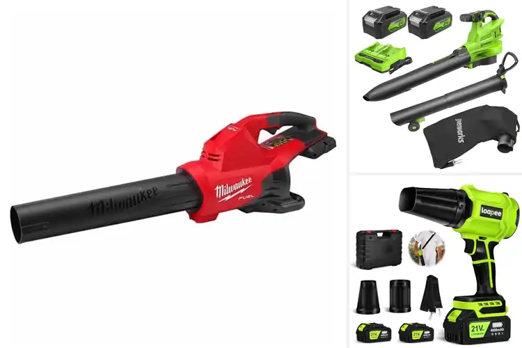Detailed view of Best Dual Battery Blowers