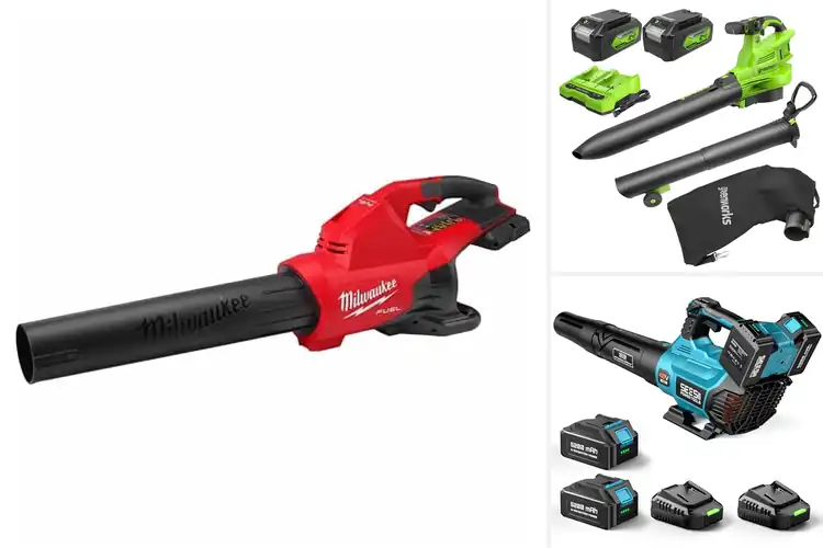 Detailed view of Best Dual-Battery Leaf Blowers