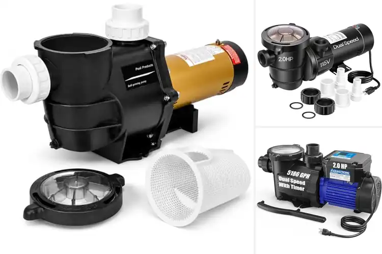 Detailed view of Best Dual Speed Pumps