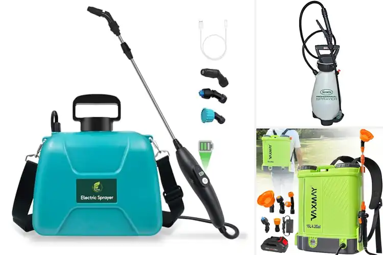 Detailed view of Best Electric Sprayers: 10 Effortless Yard Work Solutions