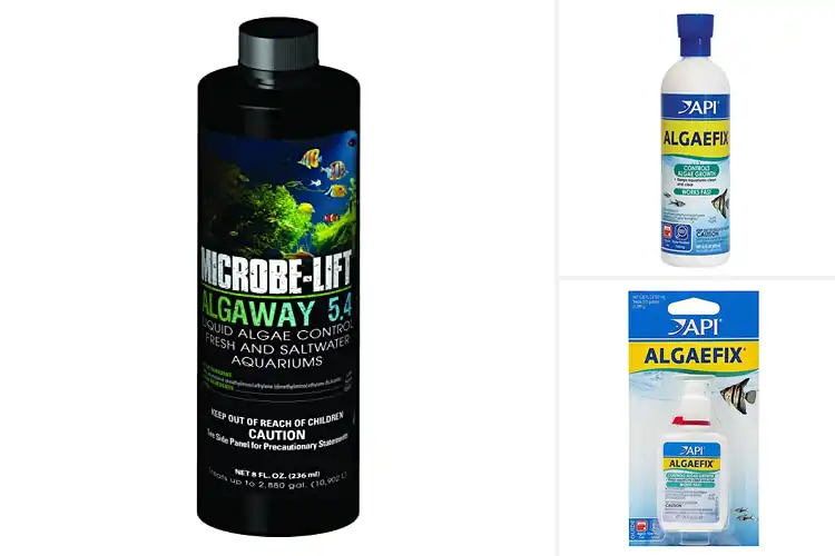 Detailed view of Best Fish Tank Algae Removers