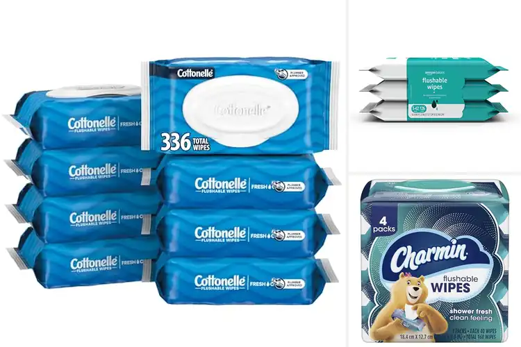 Detailed view of Best Flushable Personal Hygiene Wipes