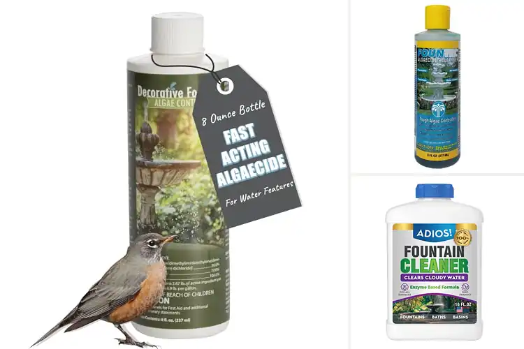 Detailed view of Best Fountain Cleaners