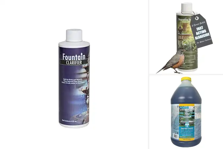Detailed view of Best Fountain Water Clarifiers