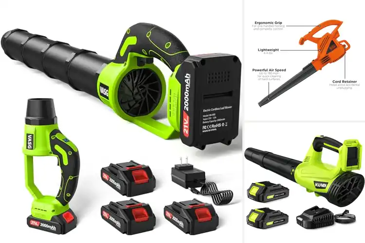 Detailed view of Best Garden Leaf Blowers: Top Picks for a Clean, Tidy Yard