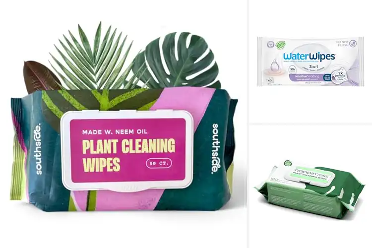 Detailed view of Best Gentle Soothing Plant Extract Wipes