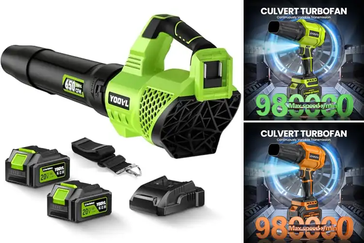 Detailed view of Best High-Power Cordless Leaf Blowers