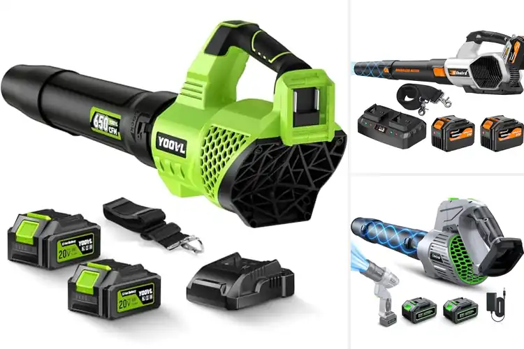 Detailed view of Best High-Power Leaf Blower