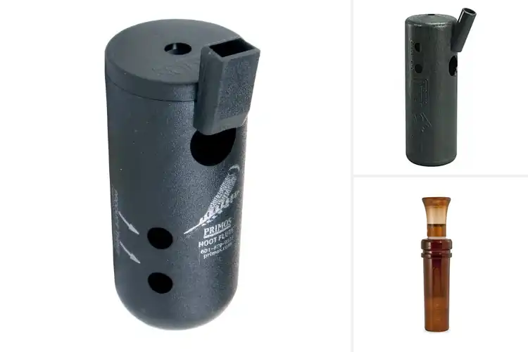 Detailed view of Best Hoot Owl Calls