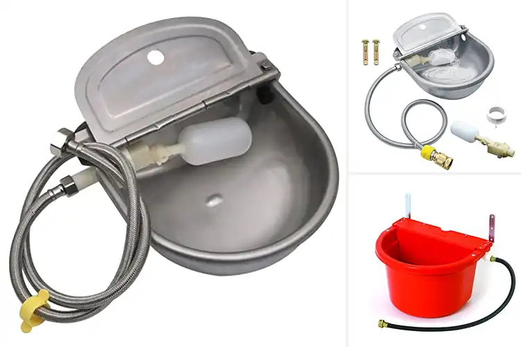 Detailed view of Best Livestock Waterers