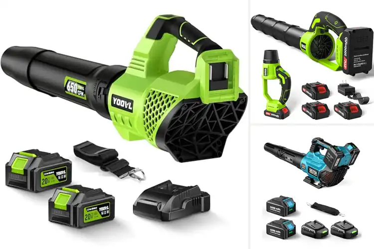 Detailed view of Best Long-Lasting Rechargeable Batteries Leaf Blowers
