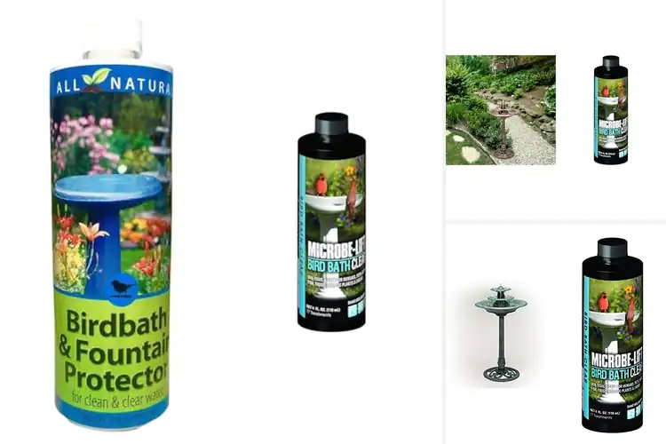 Detailed view of Best Microbe-Lift Bird Bath Cleaner