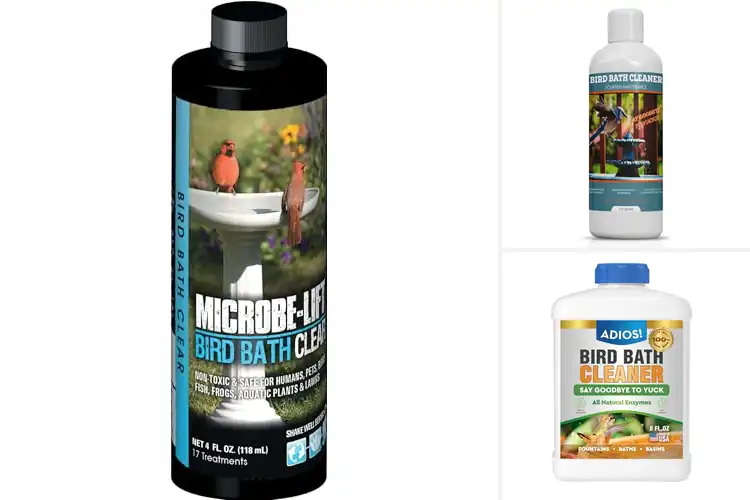 Detailed view of Best Natural Bird Bath Cleaners
