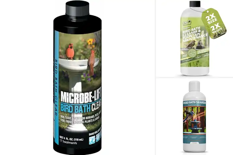 Detailed view of Best Natural Birdbath Cleaners