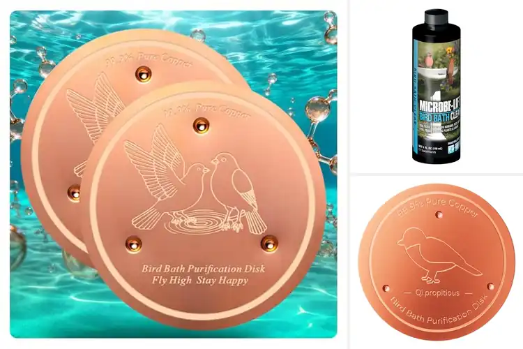 Detailed view of Best Natural Birdbath Solutions