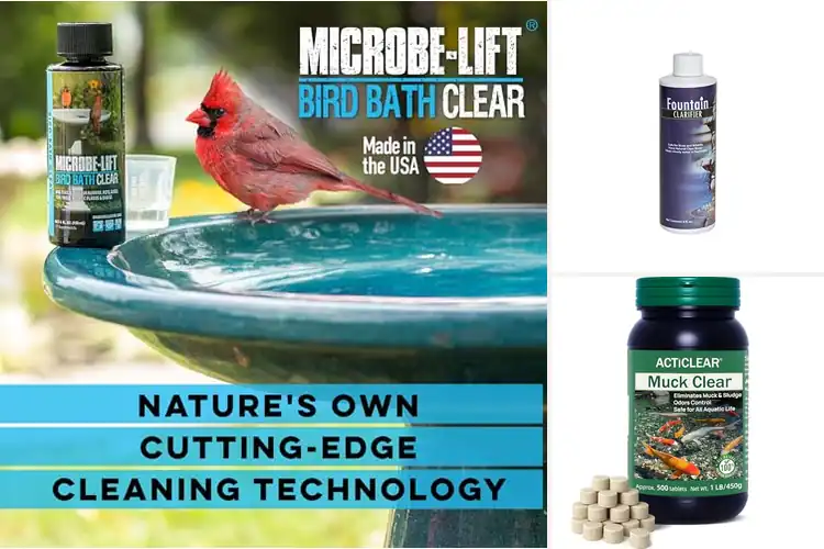 Detailed view of Best Natural Birdbath Treatments