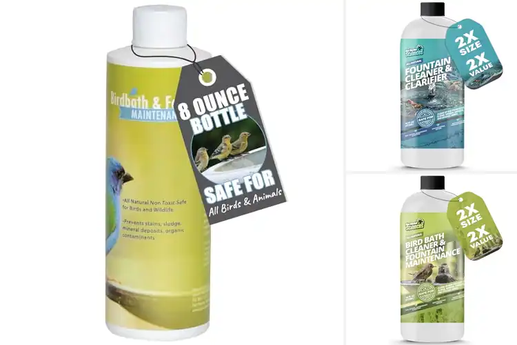 Detailed view of Best Outdoor Bird Bath Treatments: Natural Water Fresheners