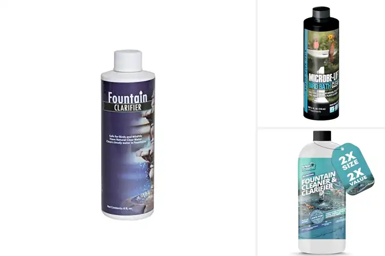 Detailed view of Best Outdoor Birdbath Treatments