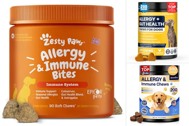 Detailed view of Best Probiotics For Dogs Allergies: Top 10 Picks for Relief